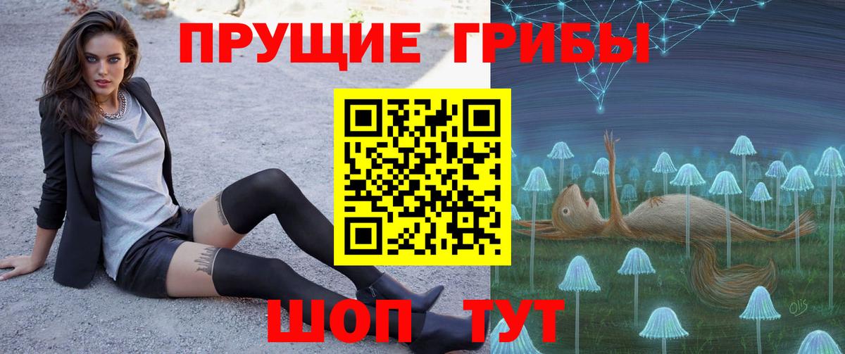 Псилоцибиновые грибы Cubensis Красногорск