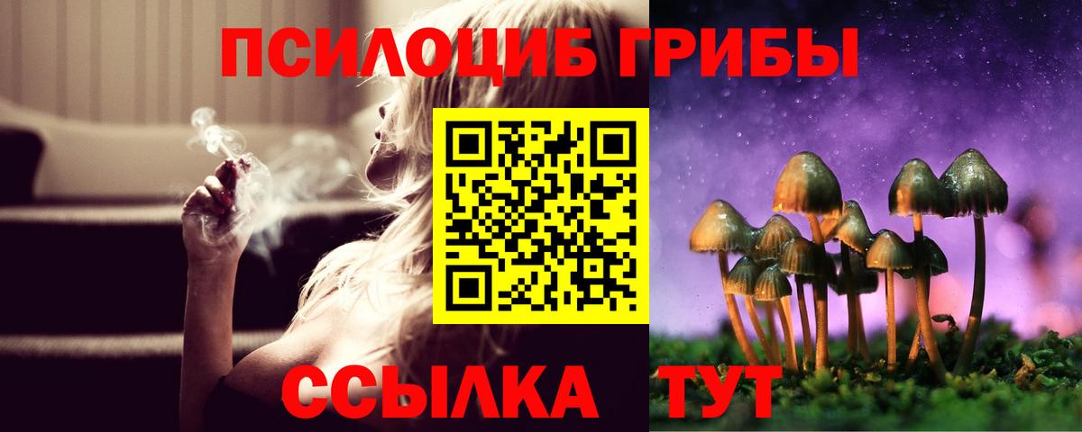 Галлюциногенные грибы мицелий  Галлюциногенные грибы ЛСД  Красногорск  Вход с VPN 